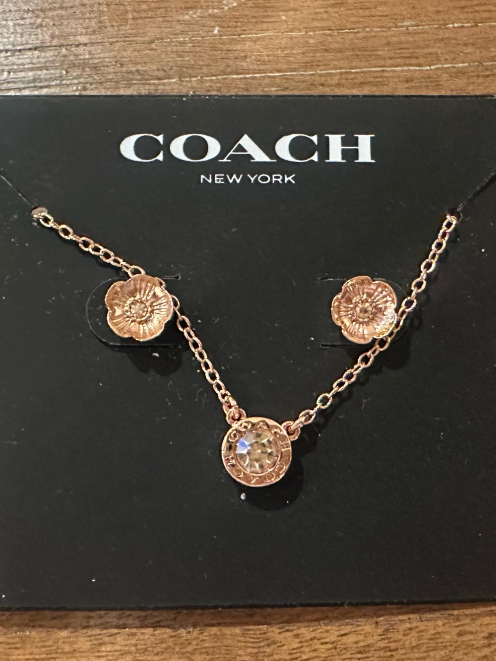 Coach necklace and earring set